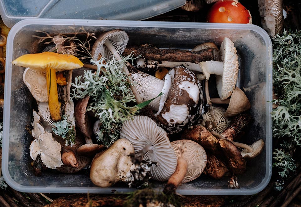 Vinkit ekologiseen pakastamiseen