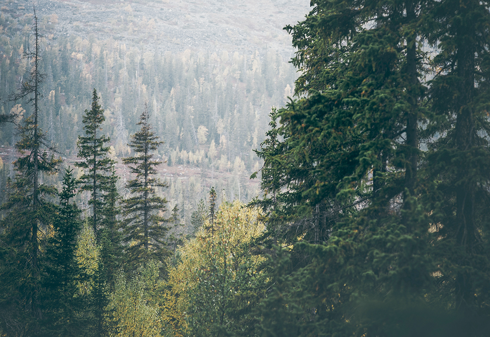 Poikkeukselliset tuntihinnat 24 11 2023