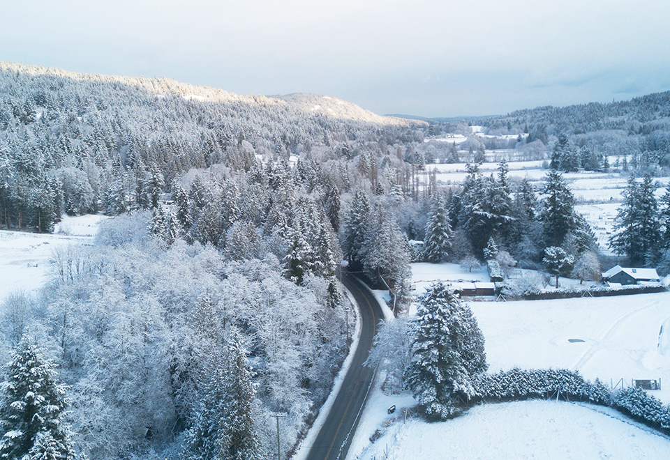 Sähkömarkkinakatsaus 12/2021