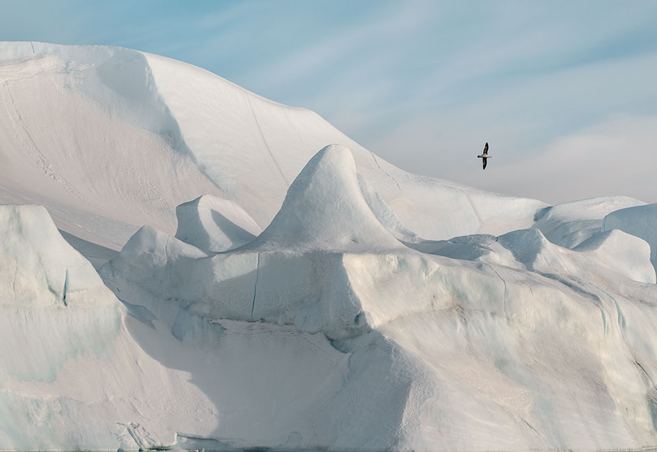 Vattenfall on saanut parhaan luokituksen Carbon Disclosure Projectin (CDP) vuoden 2023 ympäristöluokituksessa.