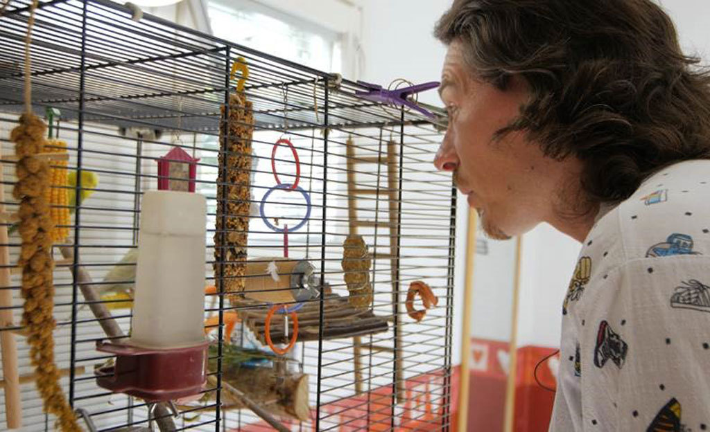 Mies kuikuilee jonkun jyrsijän häkkiin