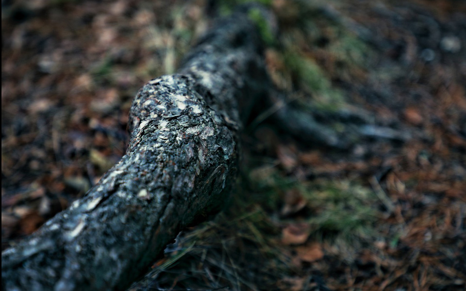 Toukokuun sähkökatsaus