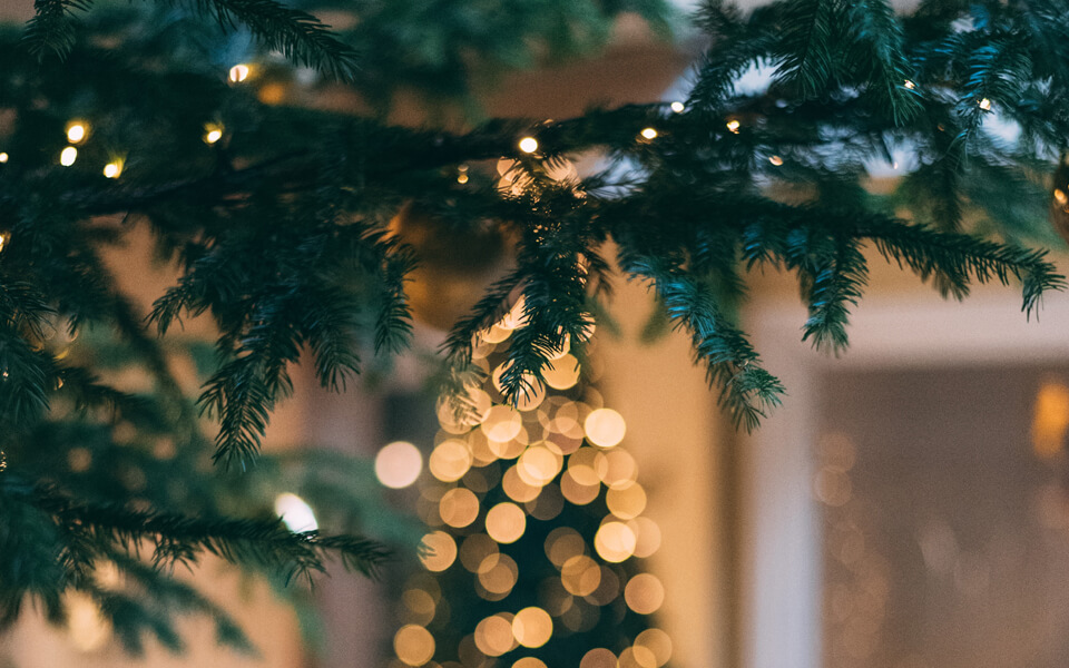 Energia-asiantuntijamme Lasse Ejeklint valaisee voiko jouluvalaistuksen antaa loistaa ilman huolta sähkölaskun paisumisesta