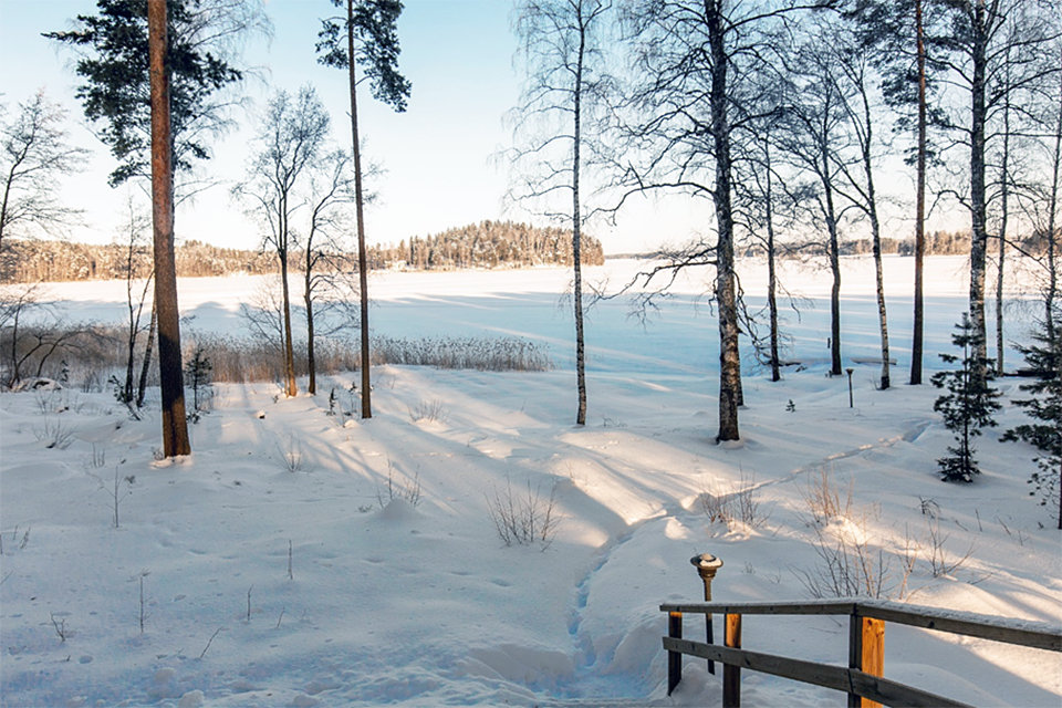 Maisemakuva aurinkoisesta talvipäivästä. Puhdasta lunta on maassa, ja jäätynyt järvi aukeaa ohuiden mäntyjen takaa.