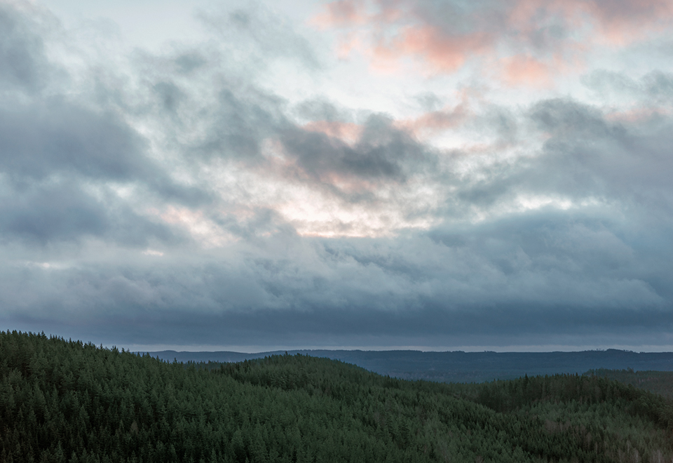 Miten Ukrainan tilanne vaikuttaa sähkömarkkinoihin?