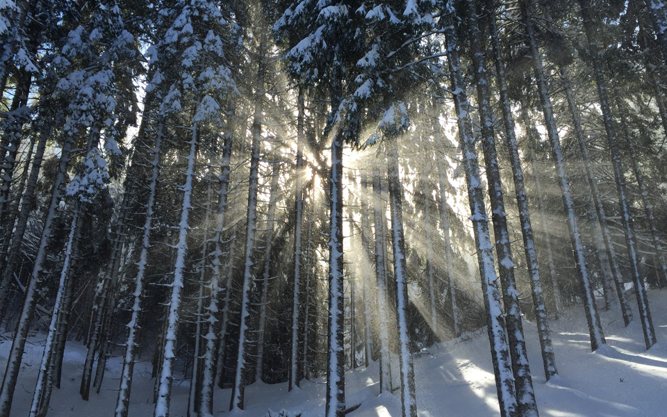 Tammikuun sähkökatsaus