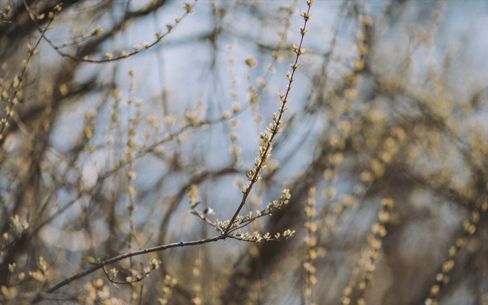 Maaliskuun sähkökatsaus