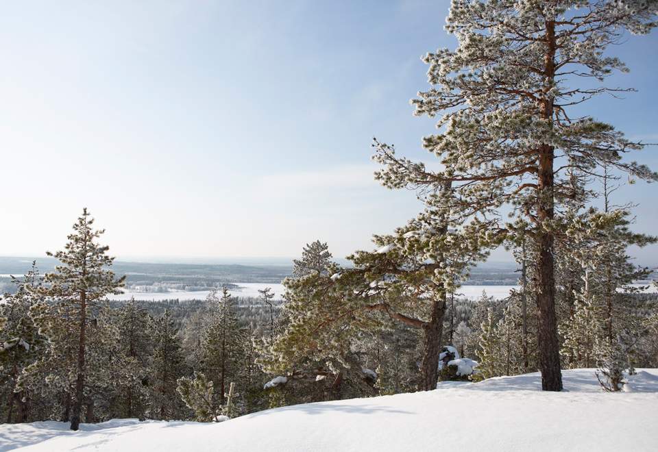 Tammikuun sähkökatsaus 2019