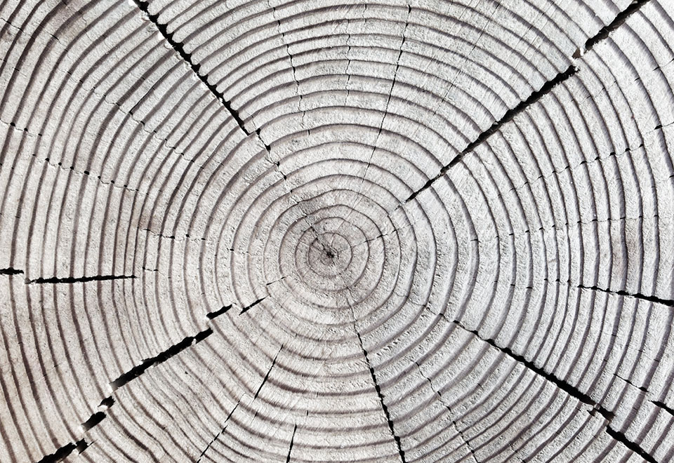 Meret ja metsät ovat tärkeimpiä hiilinieluja