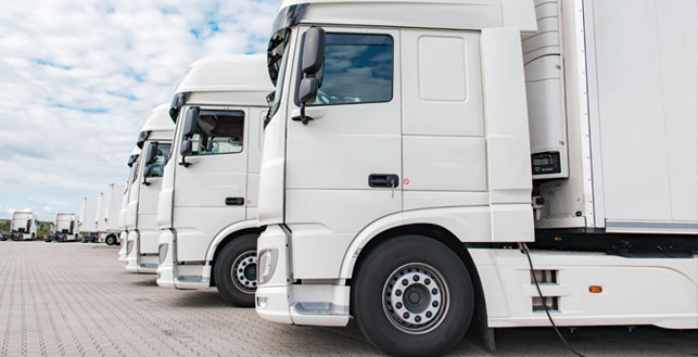 Sivusta kuvattu valkoisia rekkoja rivissä