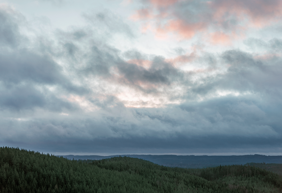 Suomalaiset odottavat yrityksiltä suurempaa vastuunkantoa ilmastonmuutoksen hillitsemiseksi