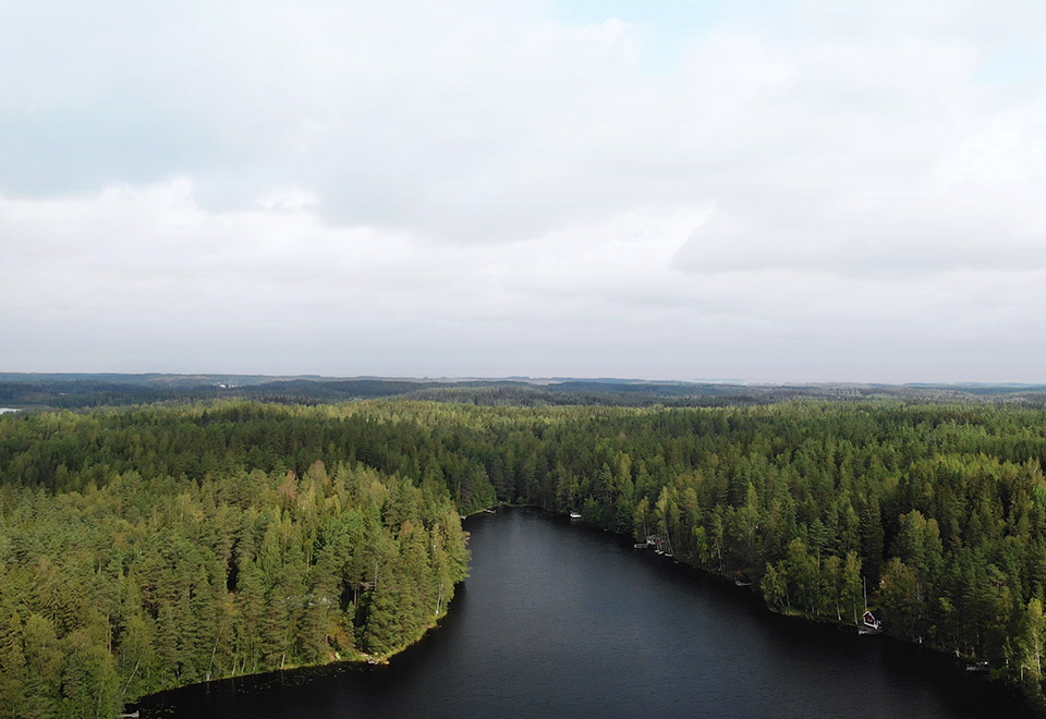 Aava ilmakuva kuusimetsästä jonka puolittaa leveä joki