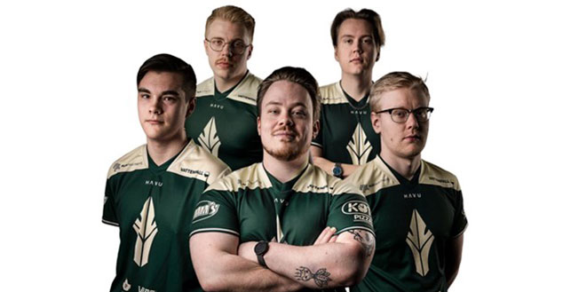 Tiimikuva havun viidestä pelaajasta