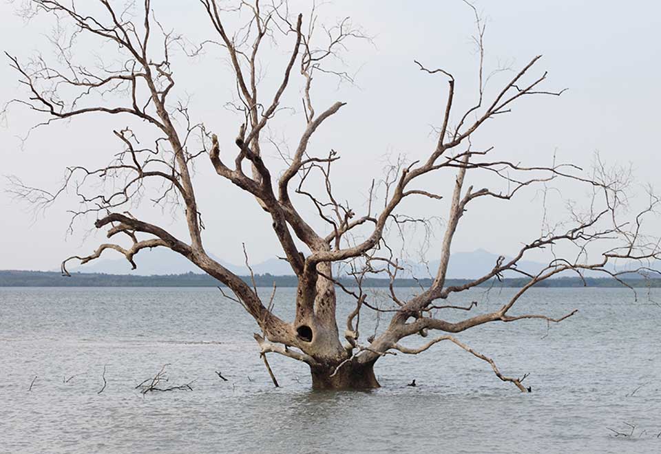 Pieni teko, jolla on suuri vaikutus: Näin sinä voit hidastaa ilmastonmuutosta