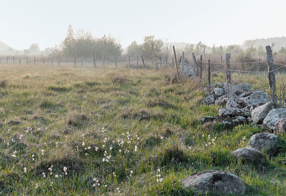 Millä keinoilla maatalous voi sopeutua ilmastonmuutokseen?