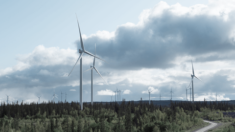 Tuulivoimaloita metsämaisemassa