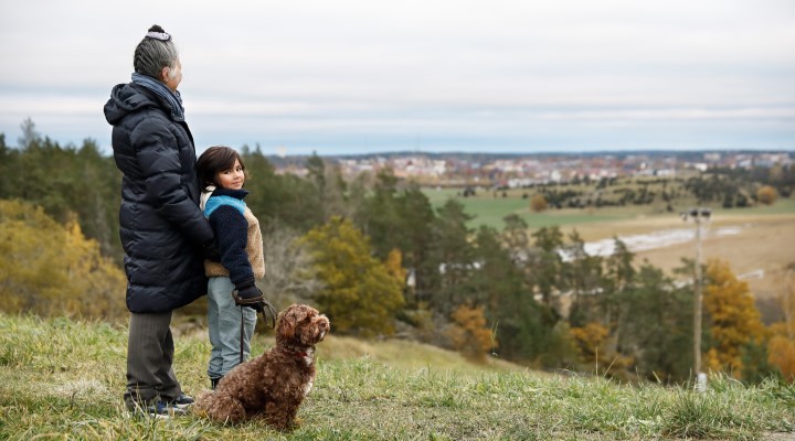 Perhe ulkona koiran kanssa