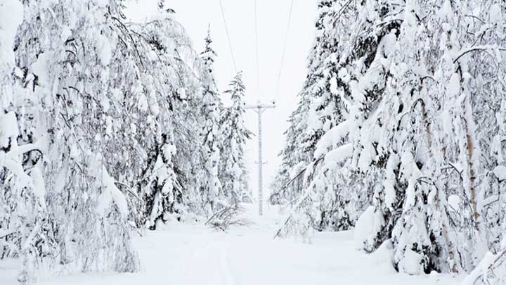 Metsä lumipeitteessä talvisessa maisemassa