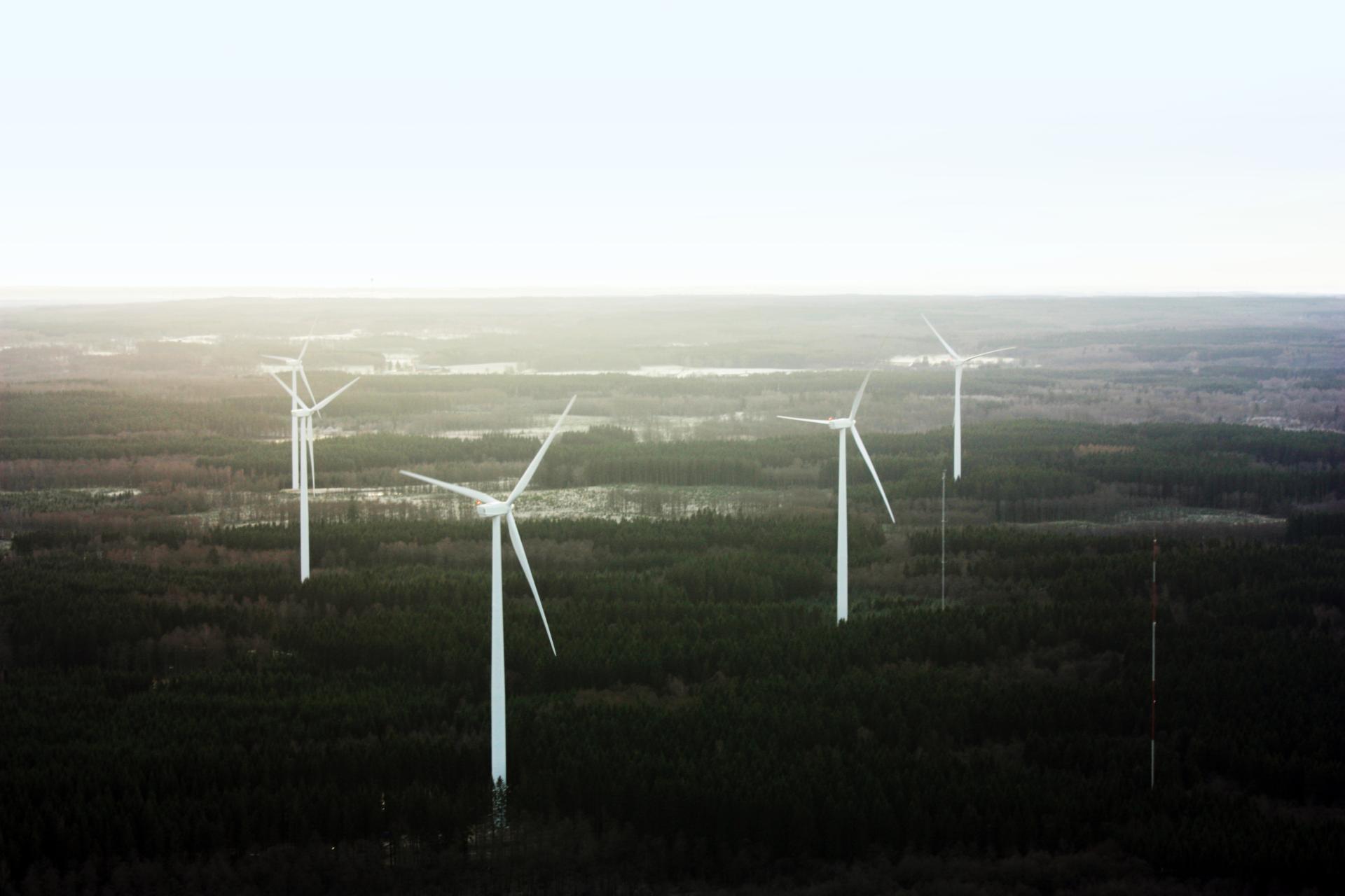 Ilmakuva jossa metsää ja tuuliturbiineja