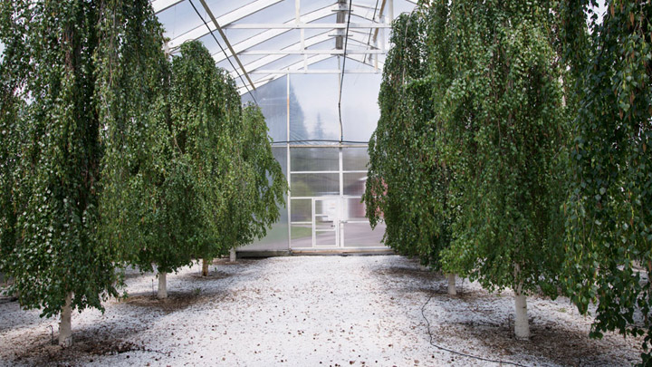 Tapio tarjoaa työkaluja, joilla suomalaisten metsien tulevaisuutta kehitetään vastuullisesti.