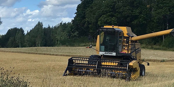 Leikkuupuimuri pellolla