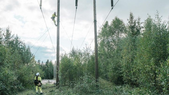 Kuva: työntekijät huoltamassa voimalinjoja, toinen kiipeämässä ylös ja toinen seisoo maassa.